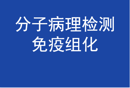 分子病理检测-免疫组化