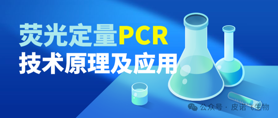 皮诺飞生物分子生物荧光定量PCR技术原理及应用