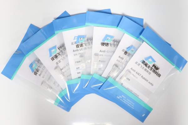 Anti- PD1 /CD279 Mouse mAb