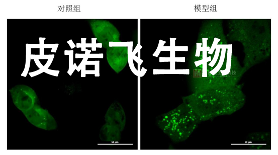 企业微信截图_17755286502450.png