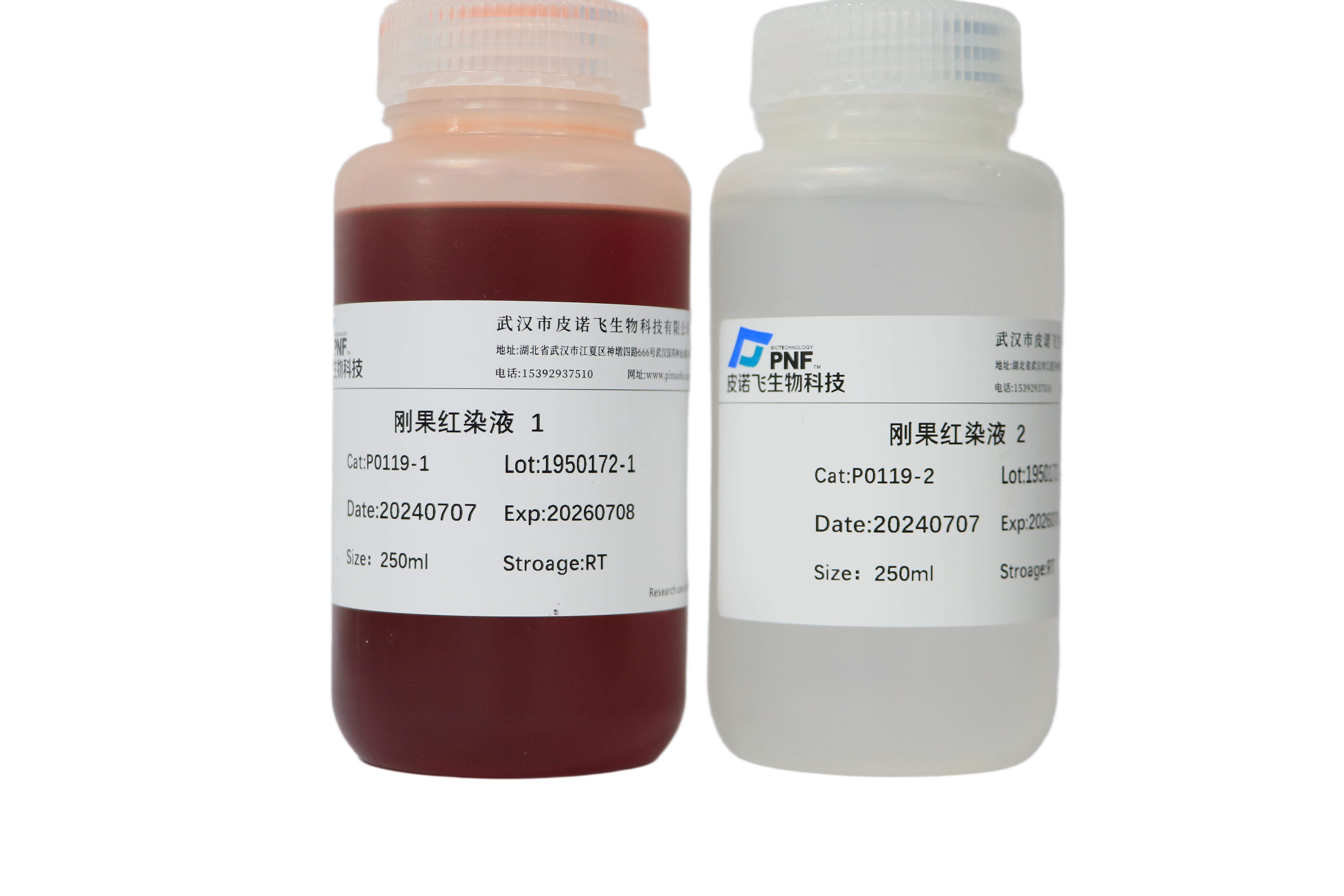 刚果红染液