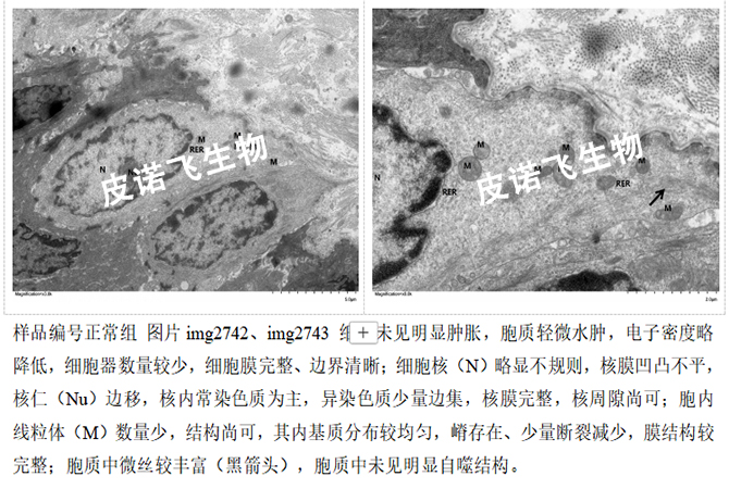 未标题-1.jpg