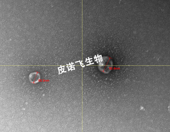 未ｄｓ题-1.jpg