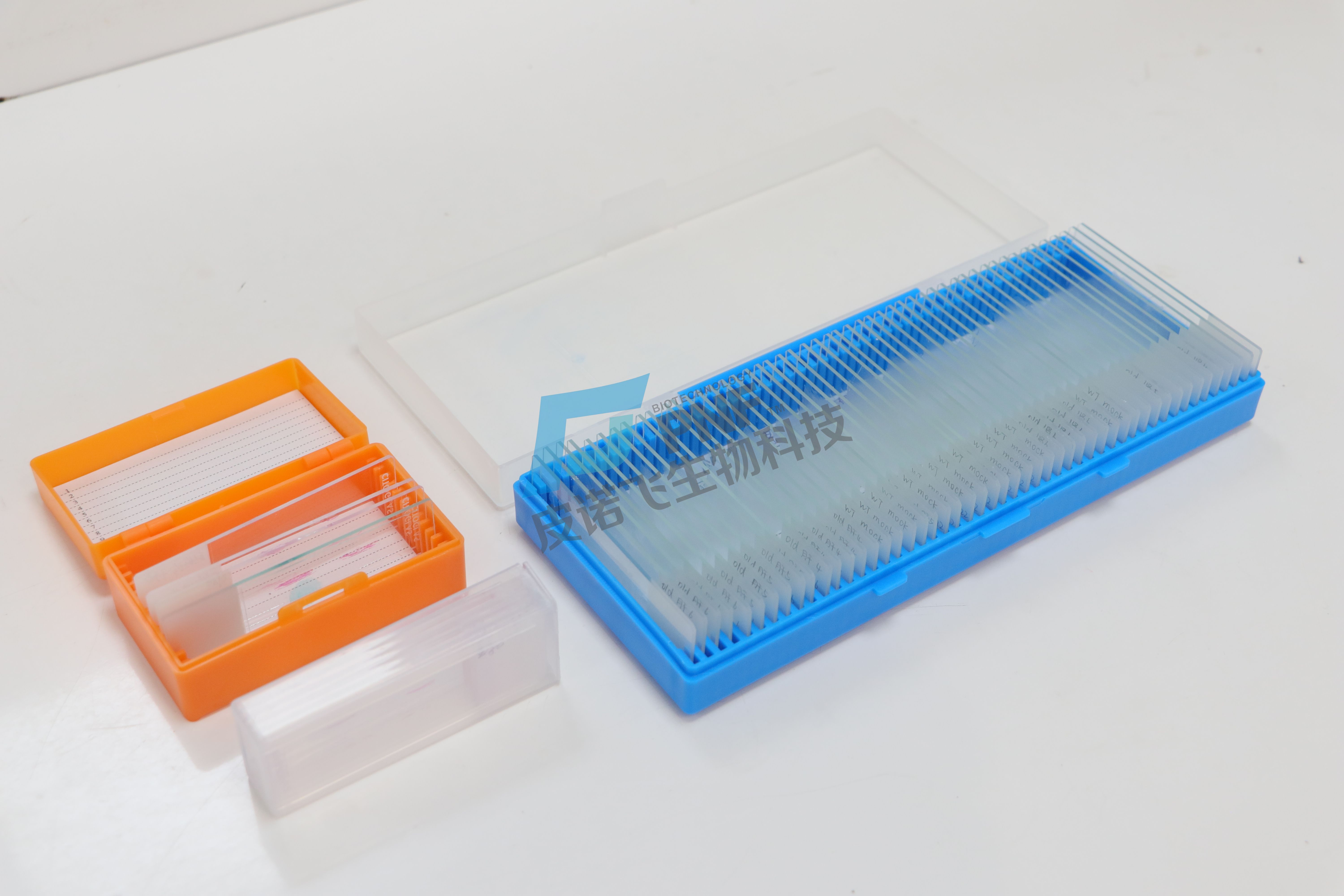 1760931085554853.jpg 1760931085554853.jpg