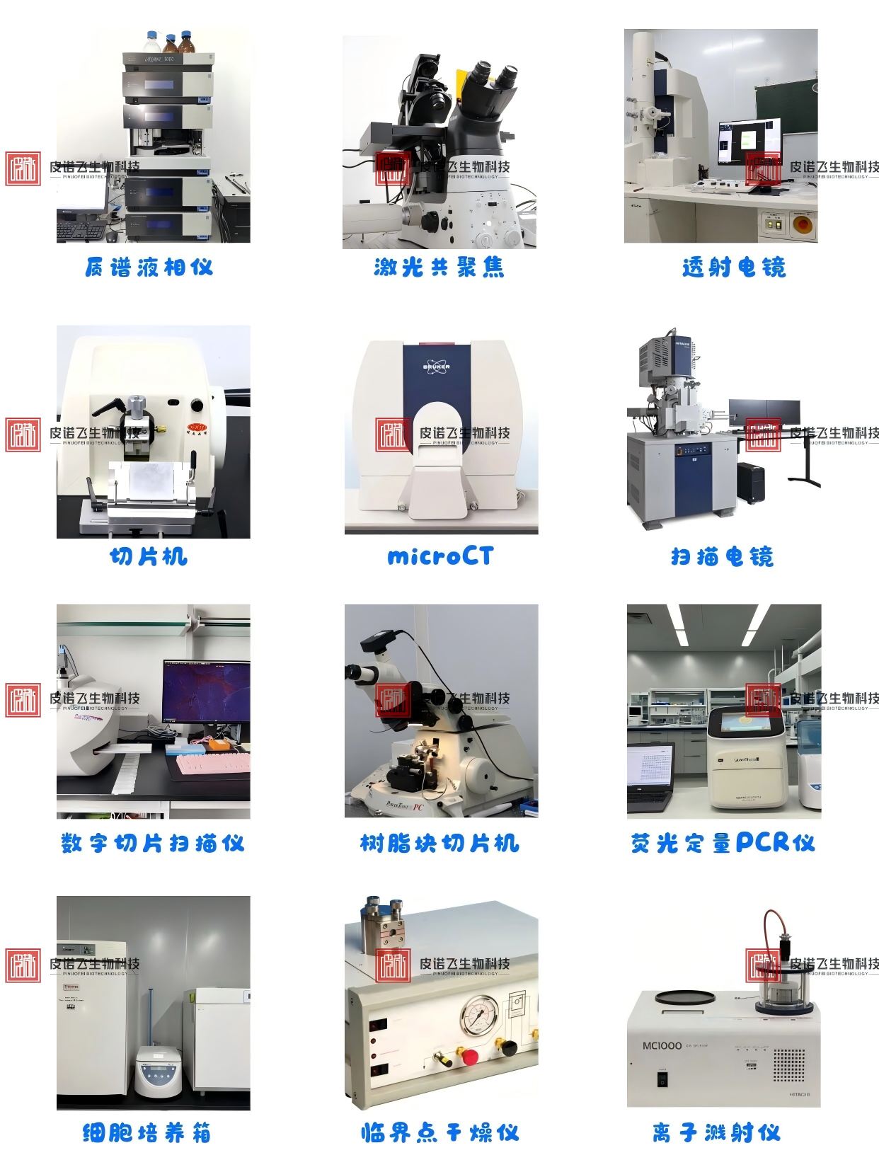 1768181012919778.png 设备(1).png